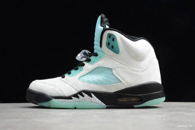 Chep Onekick Air Green 5 Jordan CN2932-100 Island 0716
